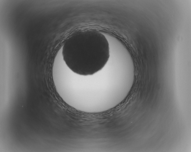 X0000114431493200910161021
