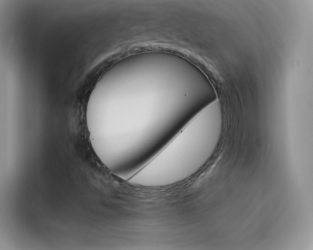 X0000114431494200910161021