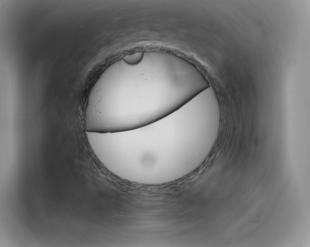 X0000114431495200910161021