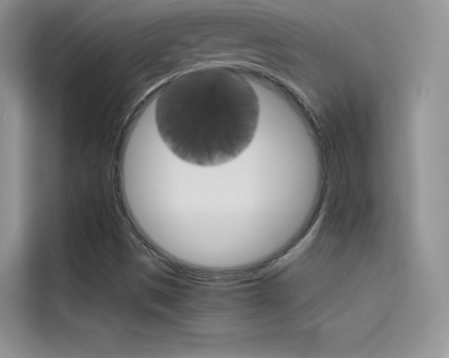 X0000114431497200910161021
