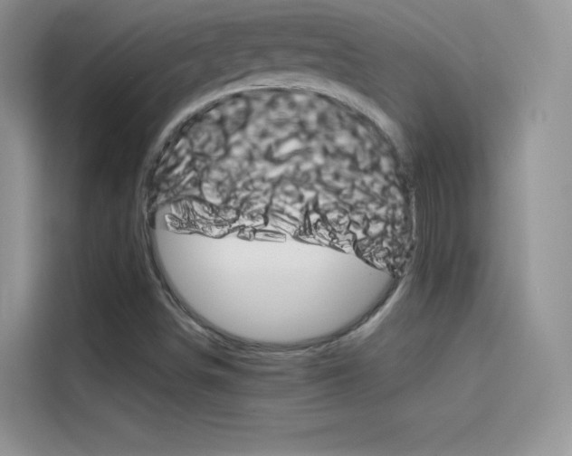 X0000114431498200910161021