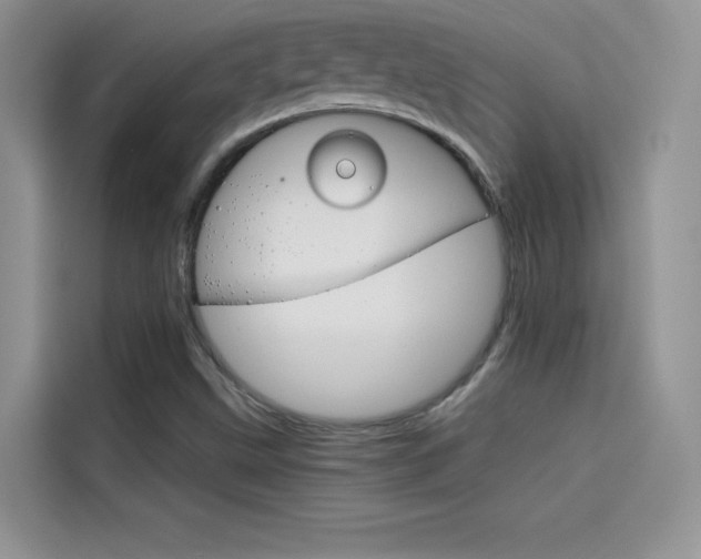 X0000114431499200910161021