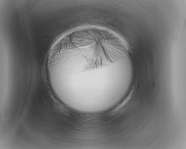 X0000114431501200910161021