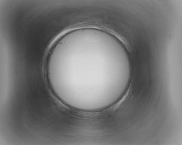 X0000114431502200910161021
