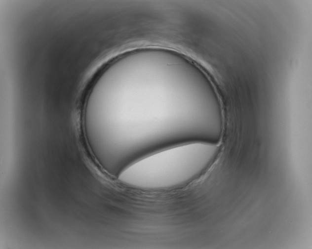 X0000114431503200910161021