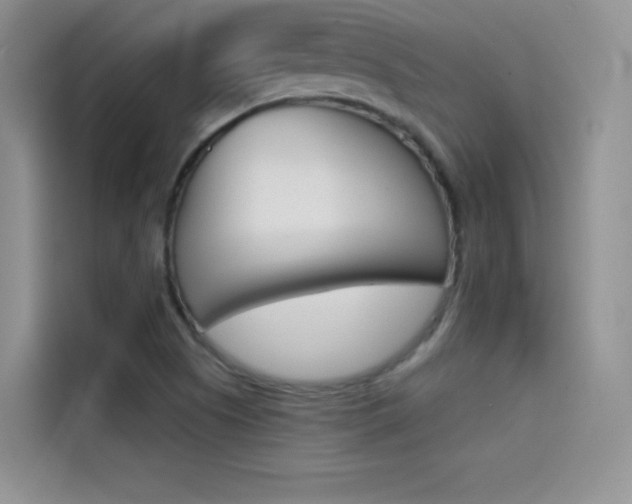 X0000114431505200910161021