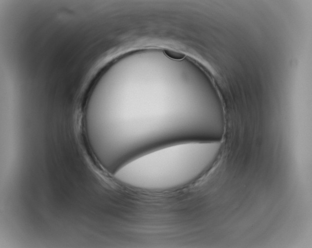 X0000114431507200910161021