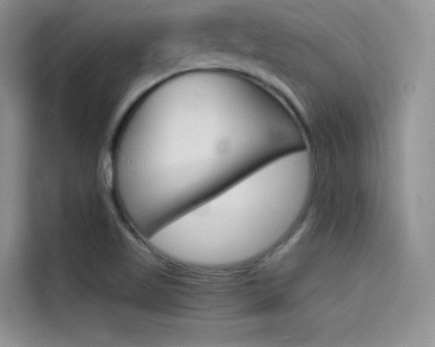 X0000114431509200910161021