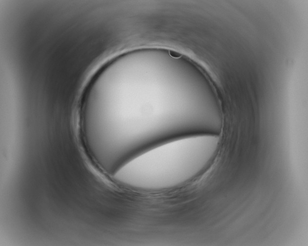 X0000114431511200910161021