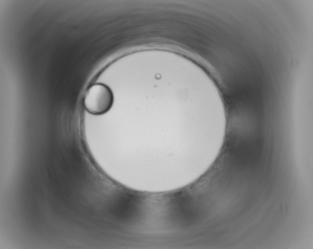 X0000114431514200910161021