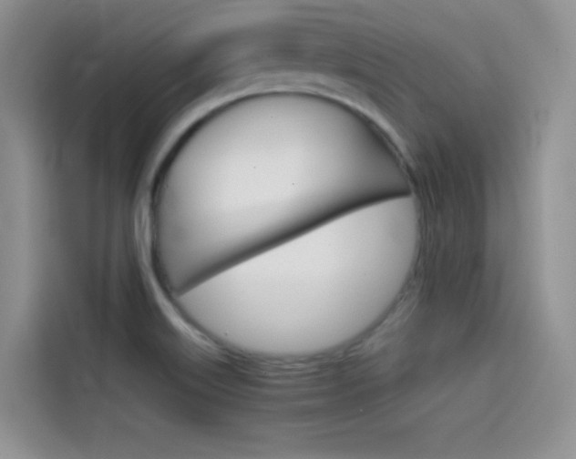 X0000114431515200910161021