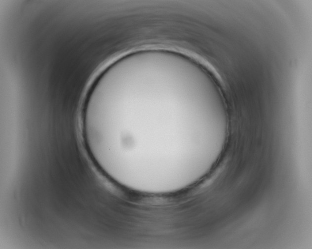 X0000114431517200910161021