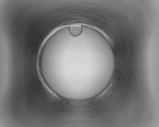 X0000114431518200910161022