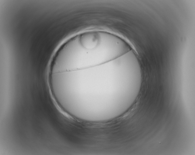 X0000114431519200910161022