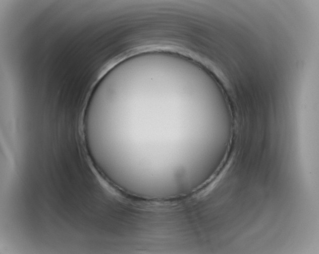 X0000114431521200910161022