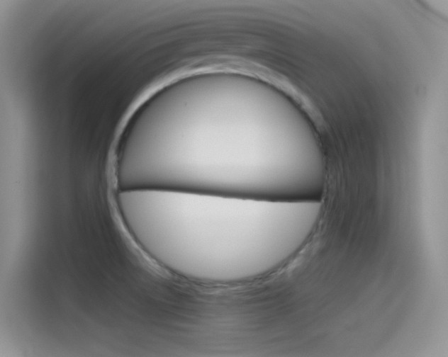 X0000114431522200910161022
