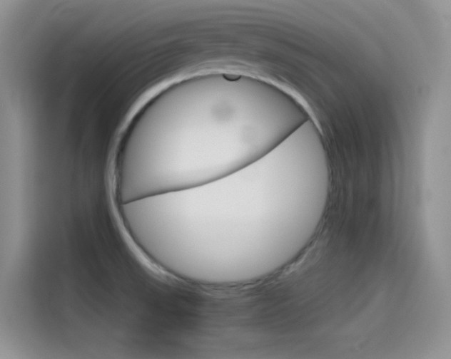 X0000114431523200910161022