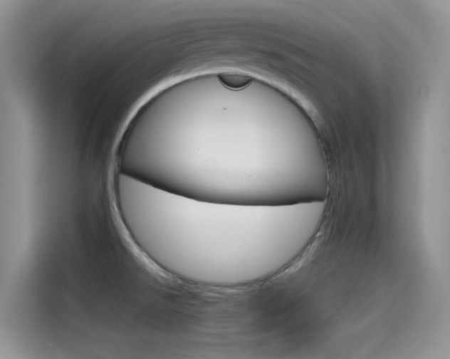 X0000114431526200910161022