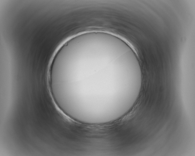 X0000114431527200910161022