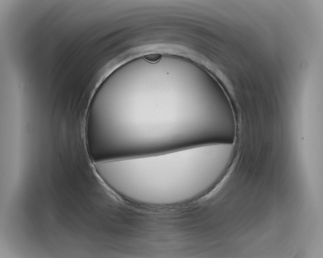 X0000114431529200910161022