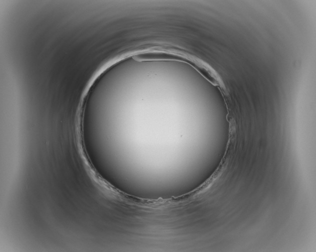 X0000114431530200910161022