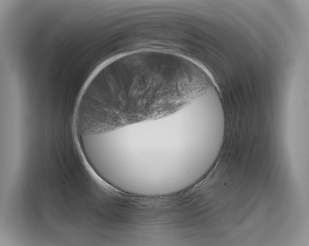 X0000114431531200910161022