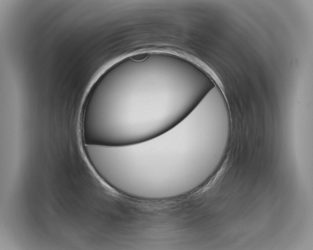 X0000114431533200910161022