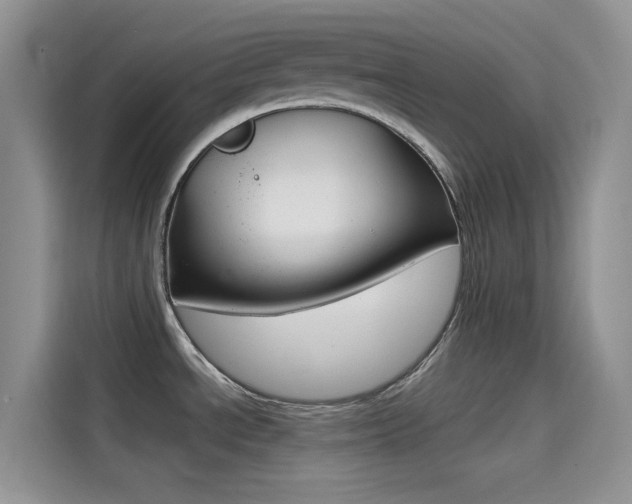 X0000114431534200910161022