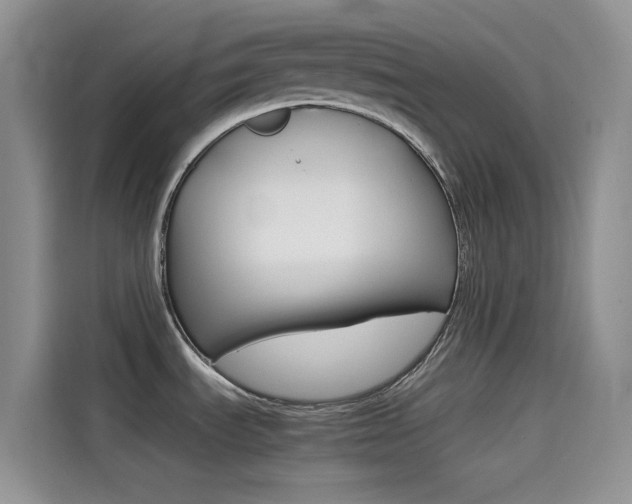 X0000114431535200910161022