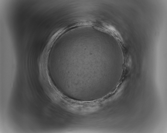 X0000114430001200910161344