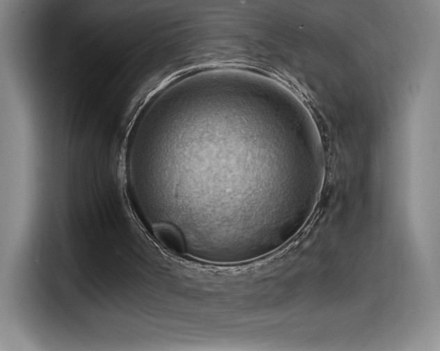 X0000114430002200910161344