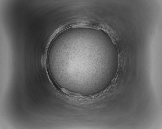 X0000114430003200910161344
