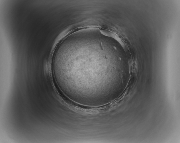 X0000114430004200910161344