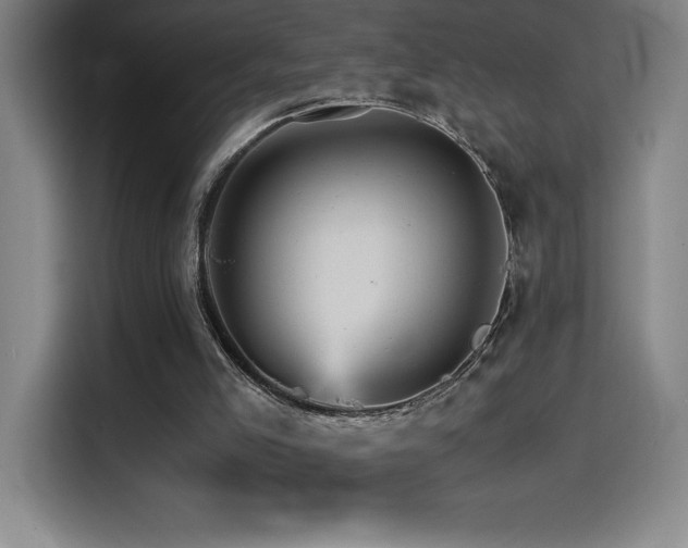 X0000114430005200910161344