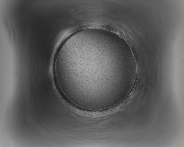 X0000114430006200910161344