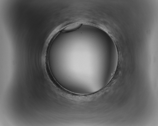 X0000114430007200910161344