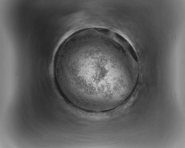 X0000114430008200910161344