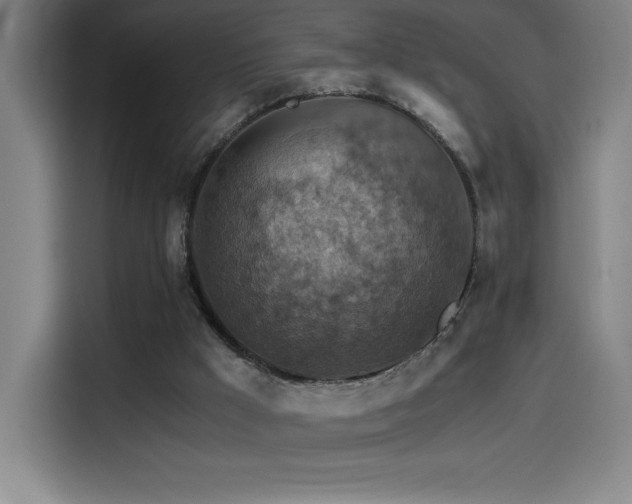 X0000114430009200910161344
