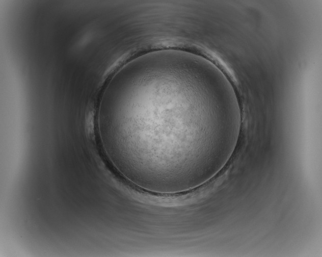 X0000114430010200910161344