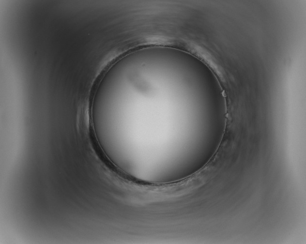 X0000114430011200910161344