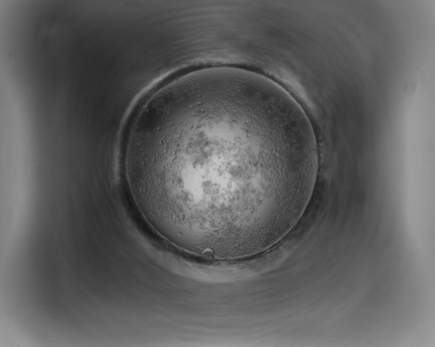 X0000114430012200910161344