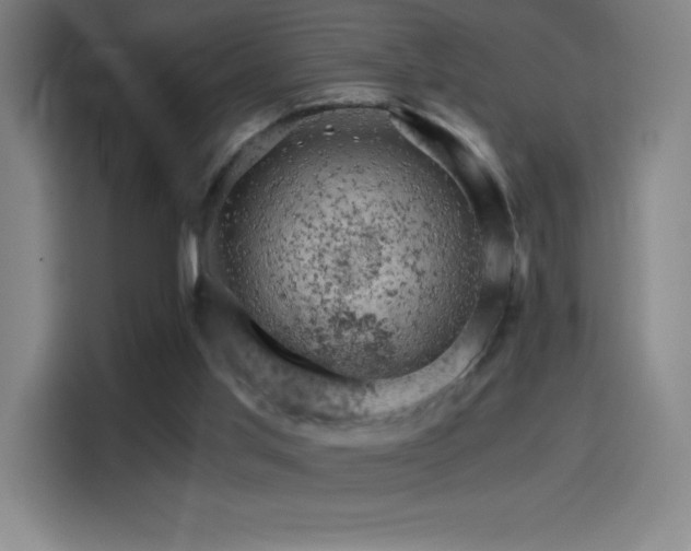 X0000114430013200910161344