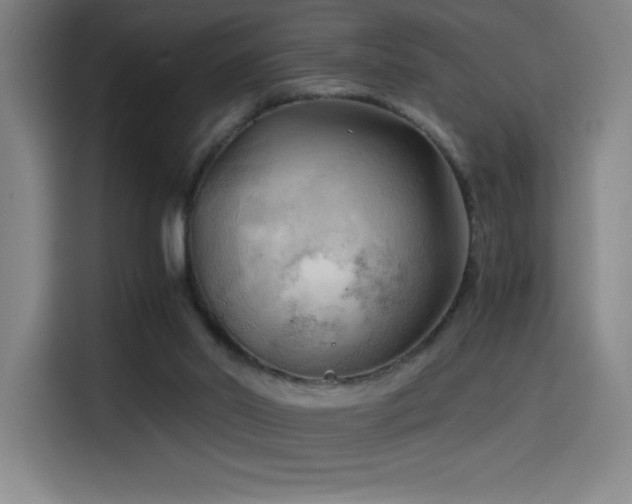 X0000114430014200910161344