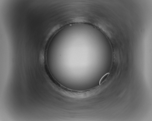 X0000114430015200910161344