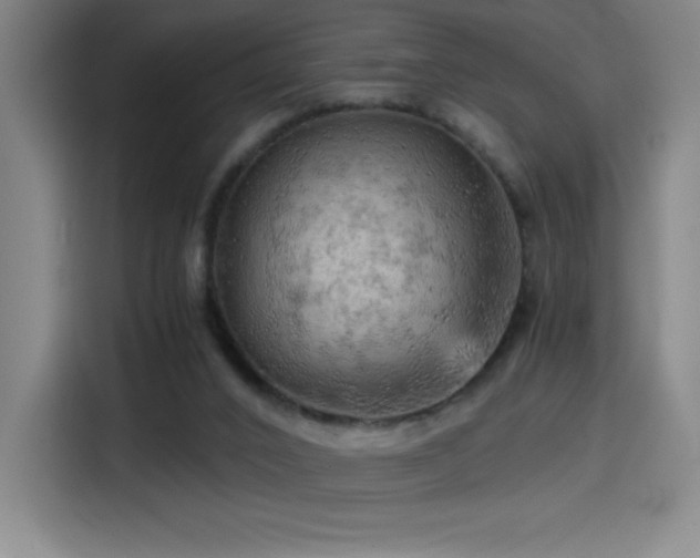 X0000114430016200910161344