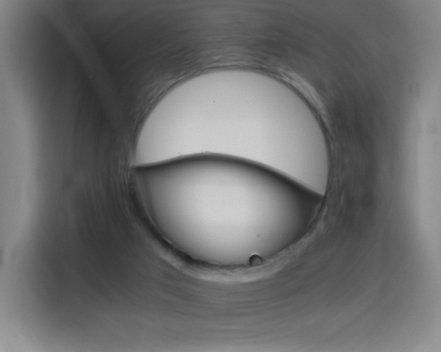 X0000114430017200910161344