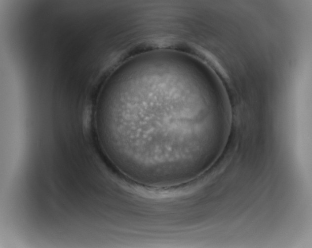 X0000114430018200910161344