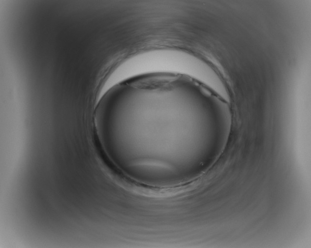 X0000114430019200910161344