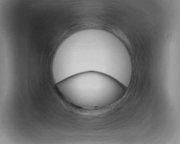 X0000114430021200910161344
