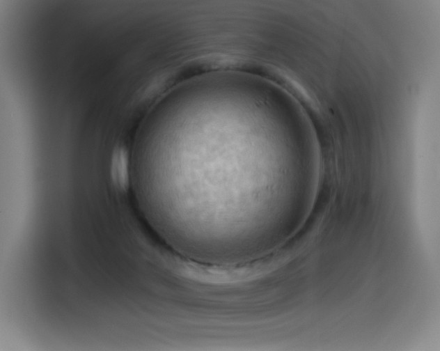 X0000114430022200910161344